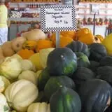 Pumpkinland at Thies Farm & Greenhouses photo