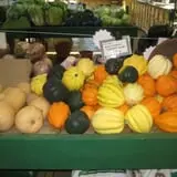 Pumpkinland at Thies Farm & Greenhouses photo