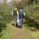 Homestead Orchard photo