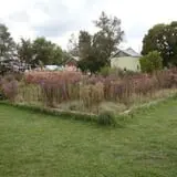 Homestead Orchard photo