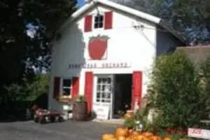 Homestead Orchard Logo