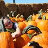 Tim's Pumpkin Patch photo