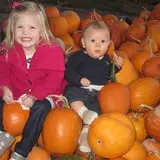 Tim's Pumpkin Patch photo