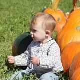 Tim's Pumpkin Patch photo