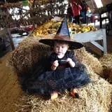 Tim's Pumpkin Patch photo