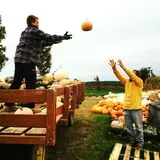 Tim's Pumpkin Patch photo