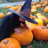 Tim's Pumpkin Patch photo