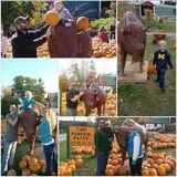 Tim's Pumpkin Patch photo