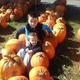 Tim's Pumpkin Patch photo
