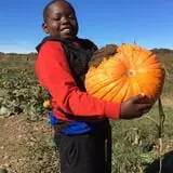 Tim's Pumpkin Patch photo