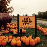 Tim's Pumpkin Patch photo