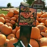 Tim's Pumpkin Patch photo