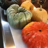 Tim's Pumpkin Patch photo
