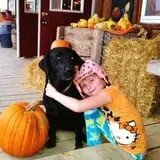 Tim's Pumpkin Patch photo