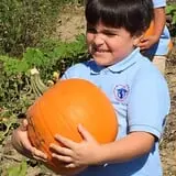 Tim's Pumpkin Patch photo