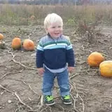 Tim's Pumpkin Patch photo