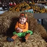 Tim's Pumpkin Patch photo