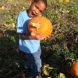 Tim's Pumpkin Patch photo