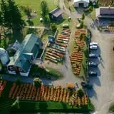 Tim's Pumpkin Patch photo