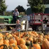 Tim's Pumpkin Patch photo