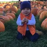 Tim's Pumpkin Patch photo