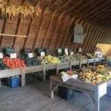 Tim's Pumpkin Patch photo