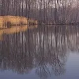 Photo by Mark Goebel, via Flickr