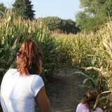 Camp Fontanelle's Split Oak Hollow Corn Maze & Pumpkin Patch photo
