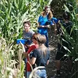 Camp Fontanelle's Split Oak Hollow Corn Maze & Pumpkin Patch photo