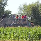 Camp Fontanelle's Split Oak Hollow Corn Maze & Pumpkin Patch photo