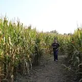 Camp Fontanelle's Split Oak Hollow Corn Maze & Pumpkin Patch photo
