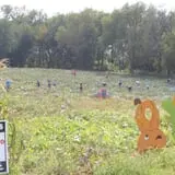 Camp Fontanelle's Split Oak Hollow Corn Maze & Pumpkin Patch photo