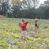 Camp Fontanelle's Split Oak Hollow Corn Maze & Pumpkin Patch photo