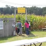 Camp Fontanelle's Split Oak Hollow Corn Maze & Pumpkin Patch photo