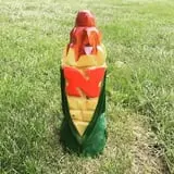 Camp Fontanelle's Split Oak Hollow Corn Maze & Pumpkin Patch photo