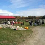 Uncle Frank's Apple Town photo