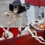 Uncle Frank's Apple Town photo