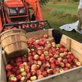 Uncle Frank's Apple Town photo