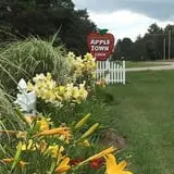 Uncle Frank's Apple Town photo