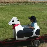 Fun Farm Pumpkin Patch photo