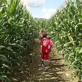 Fun Farm Pumpkin Patch photo