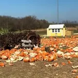 Fun Farm Pumpkin Patch photo