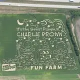 Fun Farm Pumpkin Patch photo