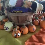 Fun Farm Pumpkin Patch photo