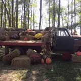 Fun Farm Pumpkin Patch photo