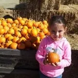Fun Farm Pumpkin Patch photo