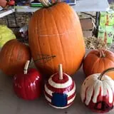 Fun Farm Pumpkin Patch photo