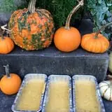 Fun Farm Pumpkin Patch photo