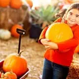 Fun Farm Pumpkin Patch photo