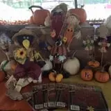 Fun Farm Pumpkin Patch photo